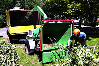 tree-care-services-kidderminster
